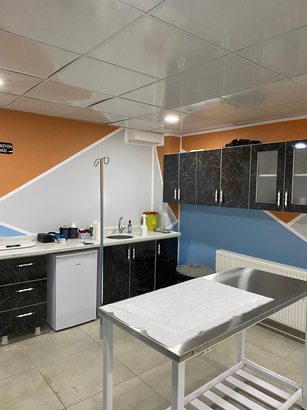 Veteriner Cerrahi Uygulamaları